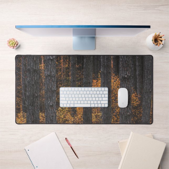 Arbres et doré feuillage d'automne (Bureau 1)