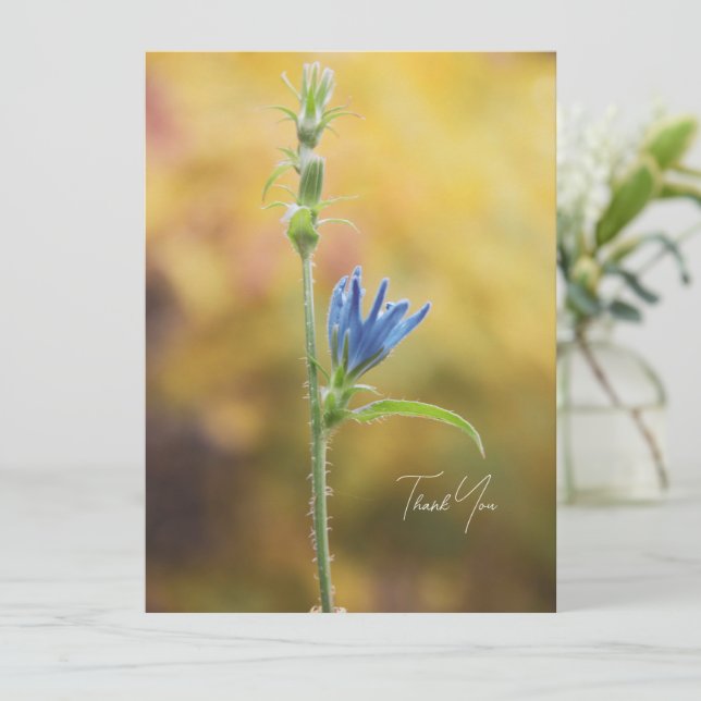 Arbres et fleurs romantiques – Fantaisie botanique (Debout devant)