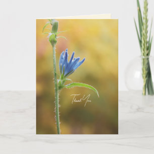 Arbres et fleurs romantiques – Fantaisie botanique