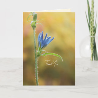 Arbres et fleurs romantiques – Fantaisie botanique