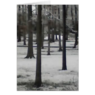 Arbres neigeux