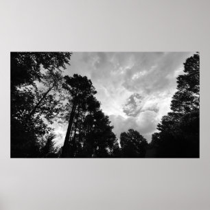 Arbres & Nuages,  Affiche