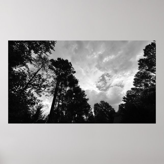 Arbres & Nuages,  Affiche (Devant)