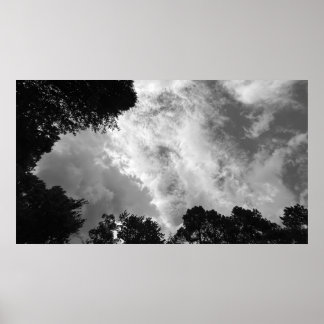 Arbres & Nuages,  Affiche