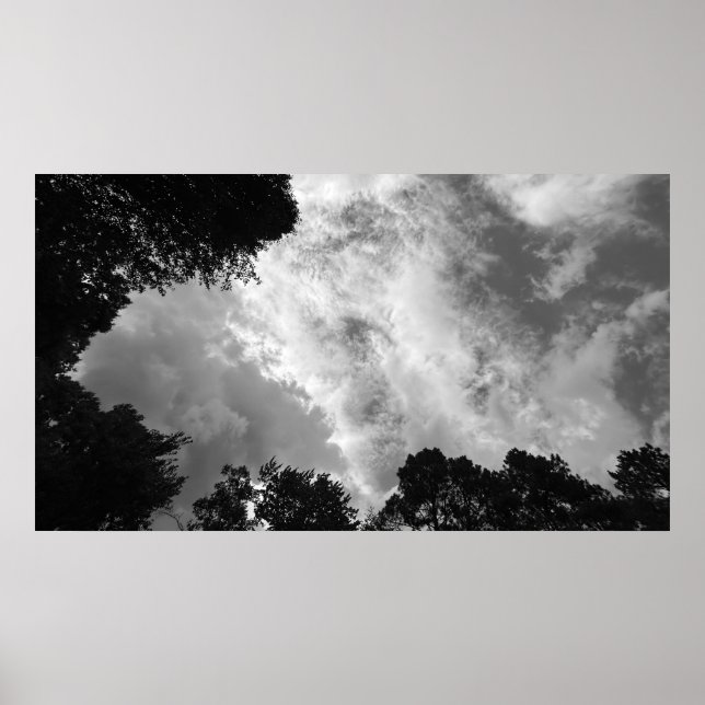 Arbres & Nuages,  Affiche (Devant)