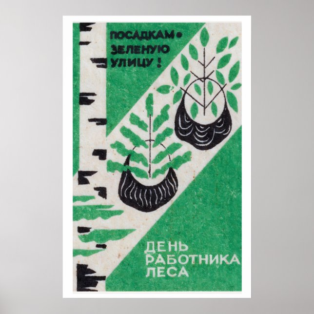 Arbres qui poussent - - Impression de boîte d'allu (Devant)