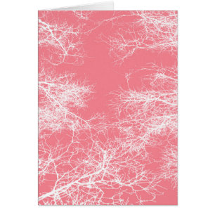 Arbres roses et blancs