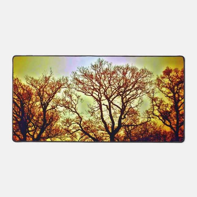 ARBRES SOLEIL BRUMEUX (Recto)