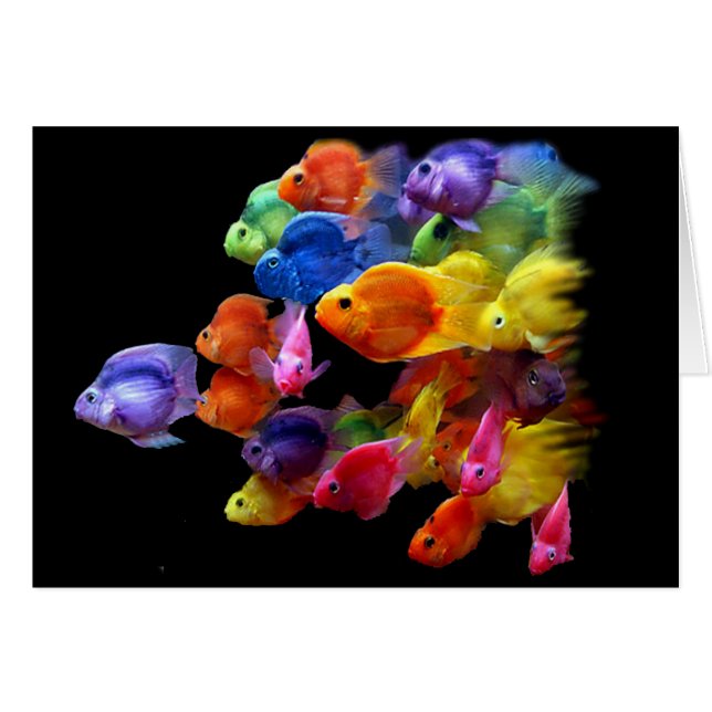 Arc-en-ciel de scare (Devant horizontal)