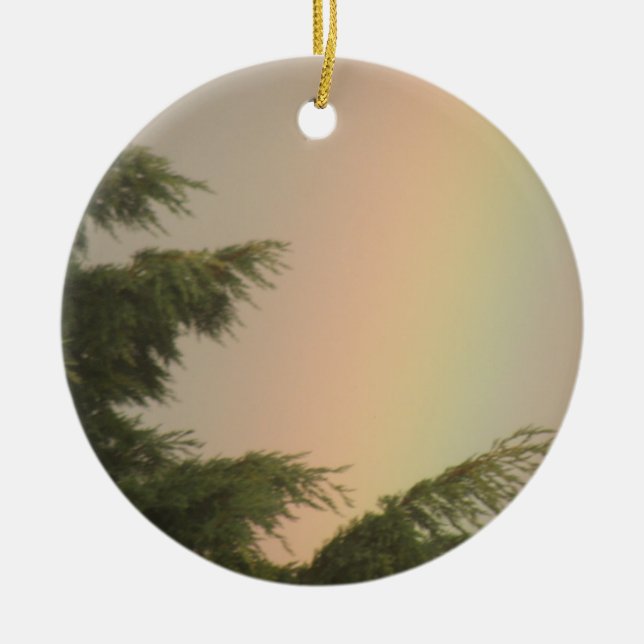 Arc-en-ciel et ornement des arbres (Devant)
