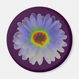 Arc-en-ciel Marigold Magnet