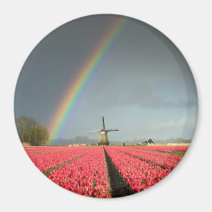 Arc-en-ciel, tulipes et aimant rond de moulin à