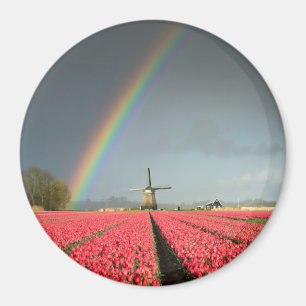 Arc-en-ciel, tulipes et aimant rond moulin