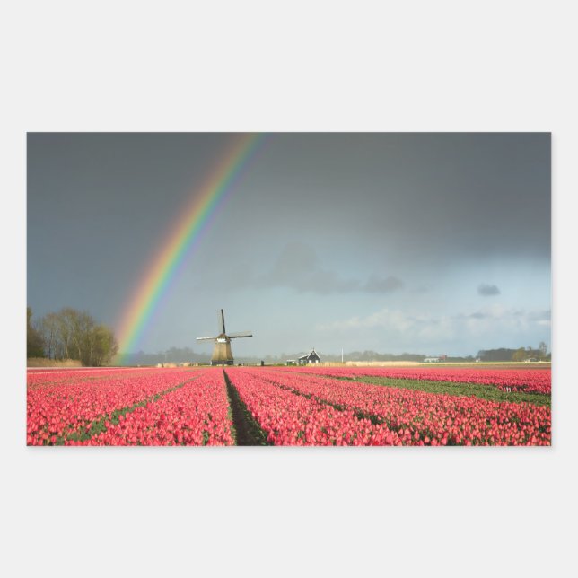 Arc en ciel, tulipes et moulin autocollant rectang (Devant)