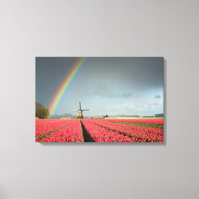 Arc-en-ciel, tulipes et toile de moulin à vent (Recto)