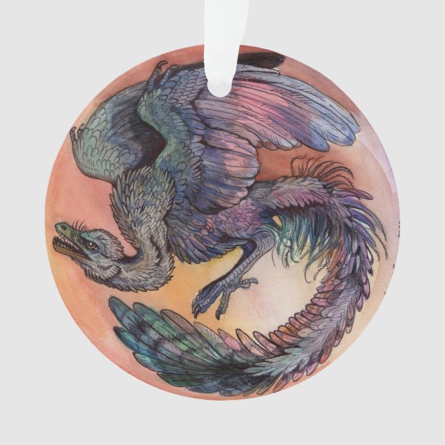 Archaeopteryx ronde (devant)