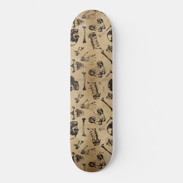 Archeologie de l'anatomie osseuse Skateboard (Recto)