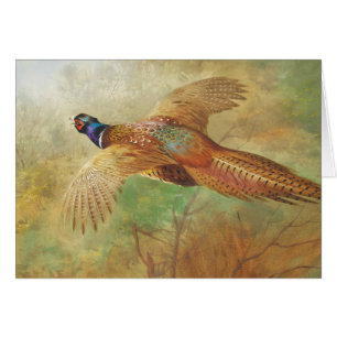 Archibald Thorburn Pheasant volant Cartes d'art d'