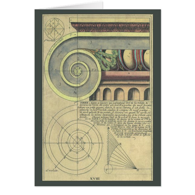 Architecture de style ; Volute de chapiteau par Vi (Devant)