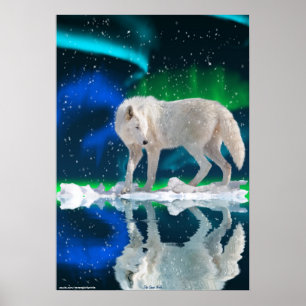 Arctic Wolf, Aurora affiche d'art faunique