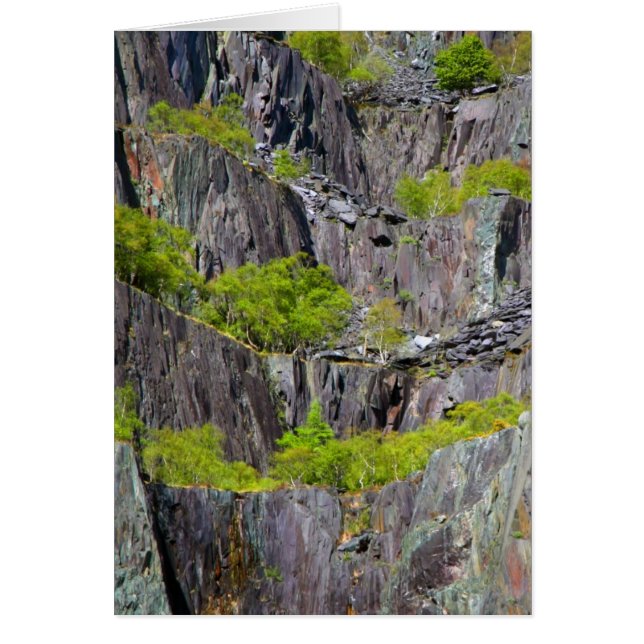 Ardoise de la falaise avec arbres (Devant)