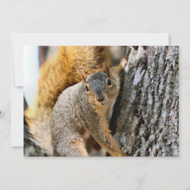 Aren/t tu viens (Devant)