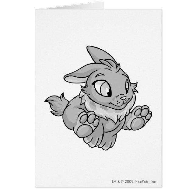 Argent de Cybunny (Devant)
