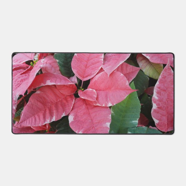 Argent Star Marbre Poinsettias Pink Holiday Floral (Recto)