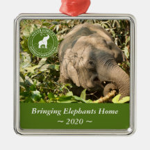 Ornement Carré NFEF