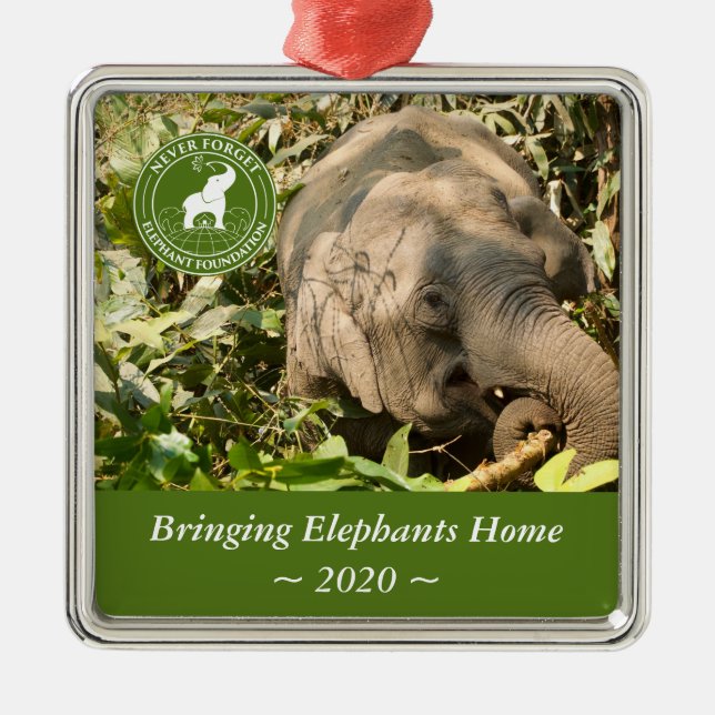 Argenté Ornement Carré NFEF (Devant)