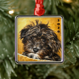Argenté Ornement carré premium Schnoodle