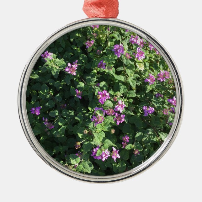 Argenté Ornement rond (Devant)