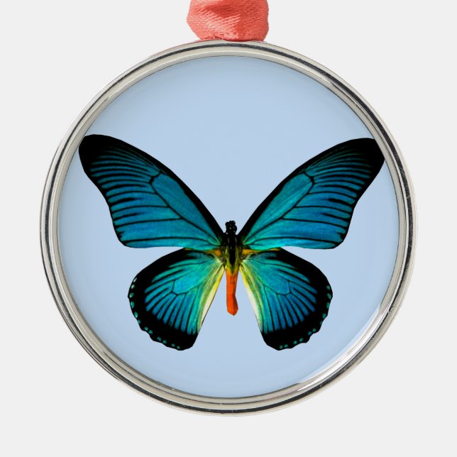 Argenté Ornement rond papillon bleu (Devant)