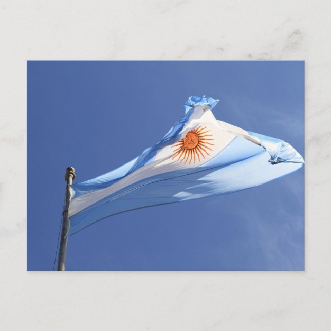 Argentine Drapeau au vent Carte postale (Devant)