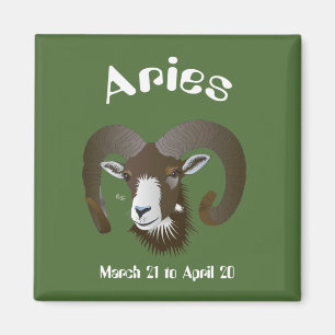 Aries March 21 à avril 20 Aimant