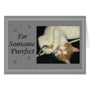 Aries Purrfect