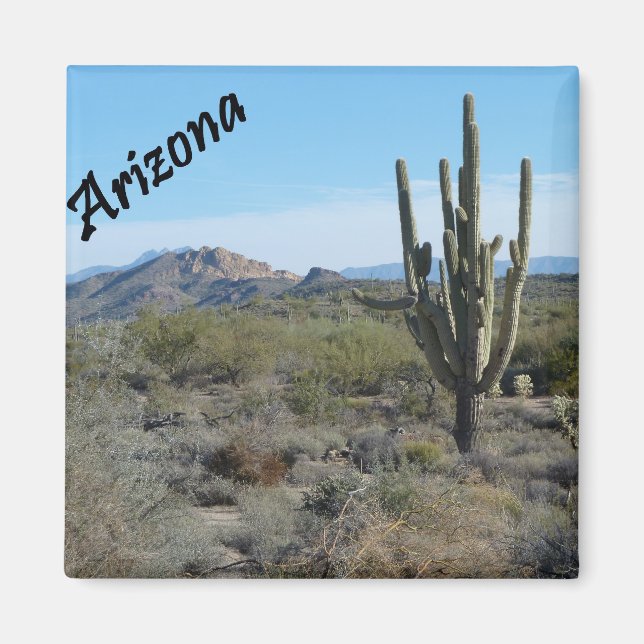 Arizona Apache Trail Cactus Photo Magnet (Devant)