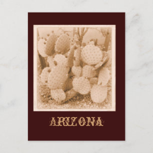 Arizona Cactus en sépia carte postale