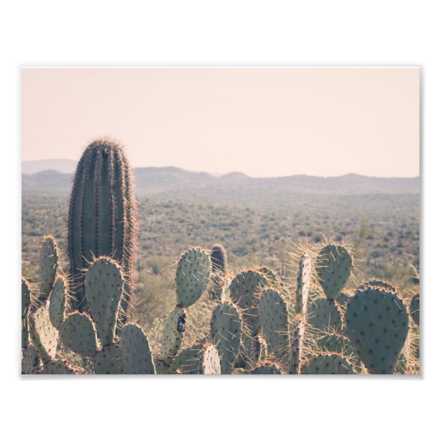 Arizona Cactus | Impression photo (Devant)