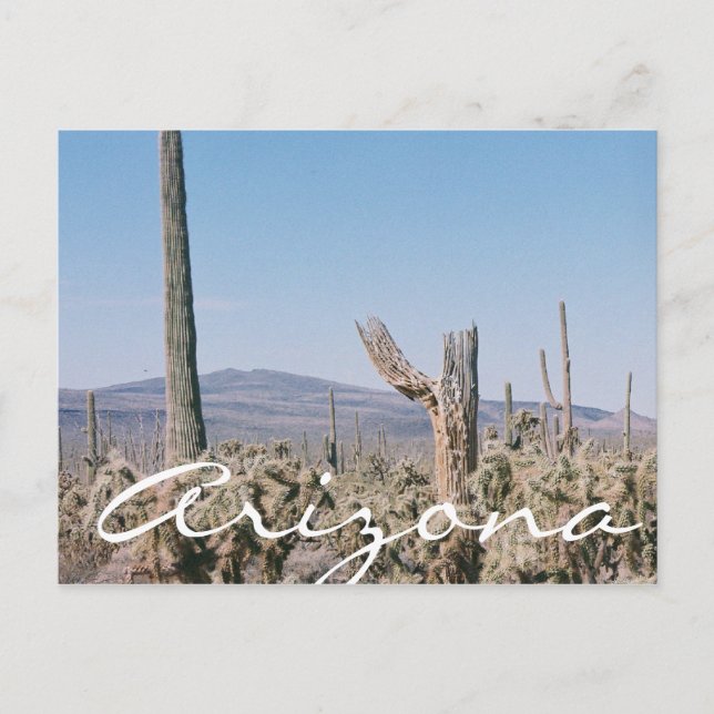 Arizona Carte Postale Désert Cactus Paysage (Devant)