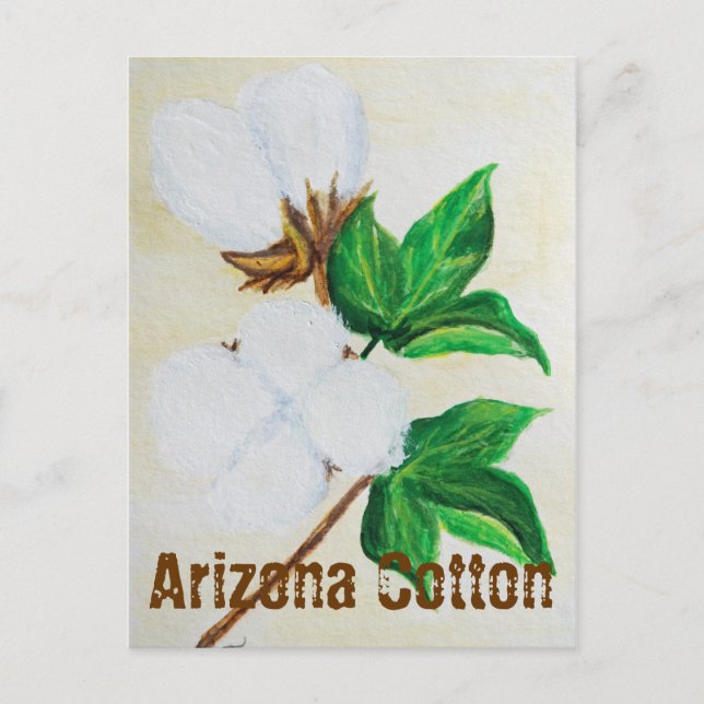 Arizona Cotton Facts Carte postale (Devant)