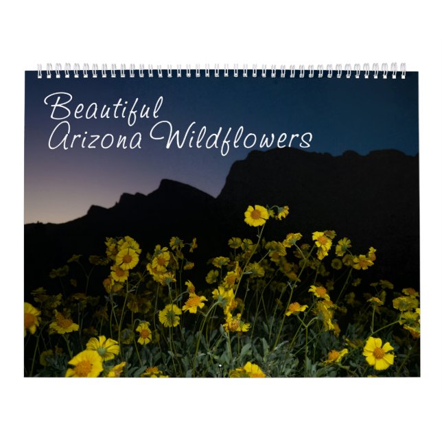 Arizona Fleurs sauvages grand calendrier de deux p (Protection)