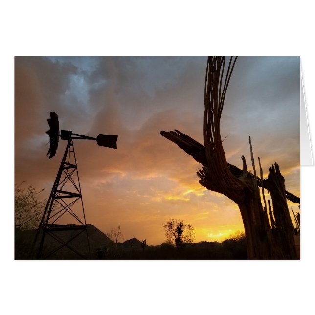 Arizona Sunset Windmill Saguaro Cactus Skeleton (Devant horizontal)