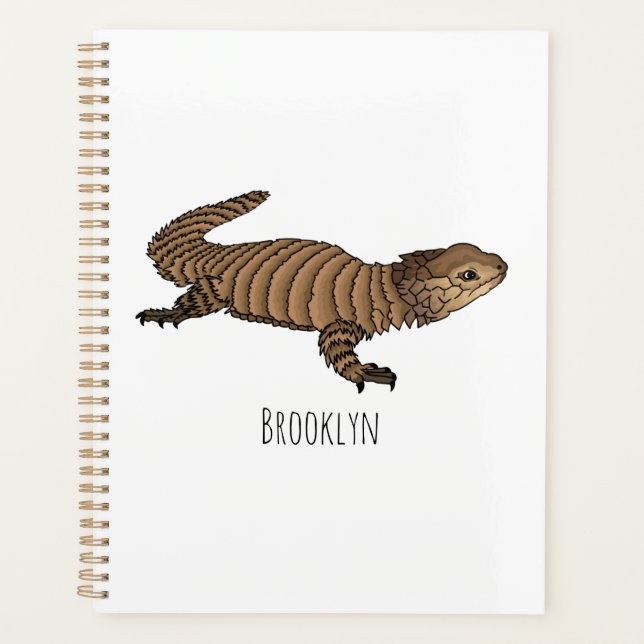 Armadillo girdled lizard cartoon illustration  (Devant)
