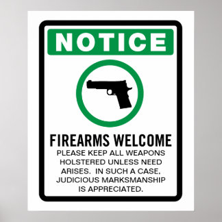 Armes à feu autorisées Affiche