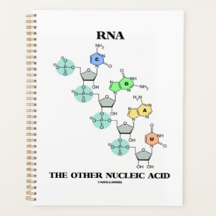 ARN L'autre structure chimique acide nucléique