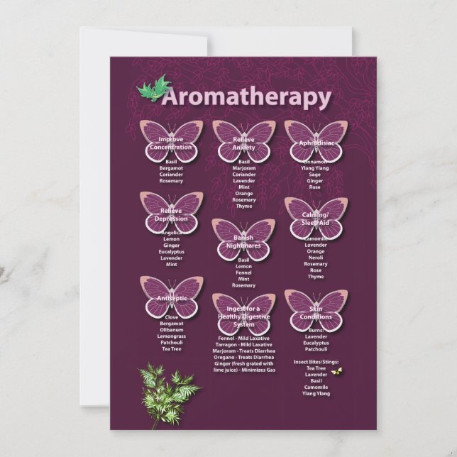 Aromathérapie Graphique en Bourgogne (Devant)