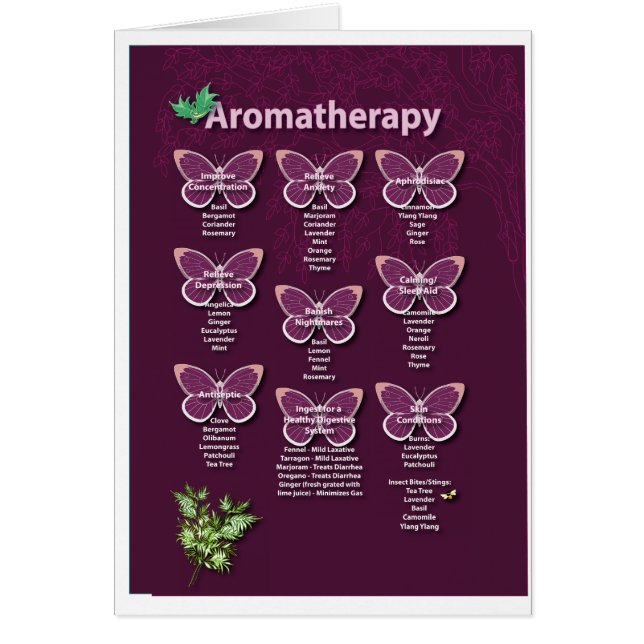 Aromathérapie Graphique en Bourgogne (Devant)