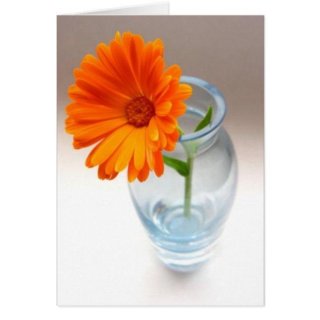 Arrangement floral (Devant)