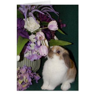 Arrêter et sentir les fleurs 4